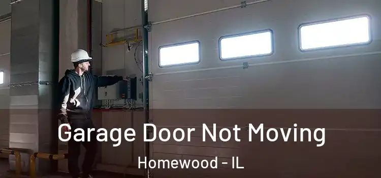  Garage Door Not Moving Homewood - IL
