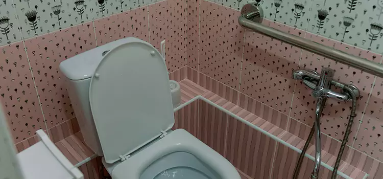 Meeting Diverse Needs With Accessible Restroom Solutions in Homewood, IL