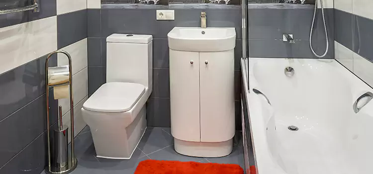 Hansgrohe Shaving Mirror Homewood