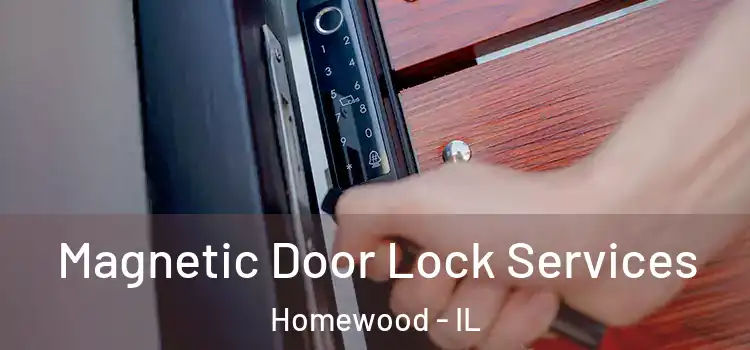 Magnetic Door Lock Services Homewood - IL